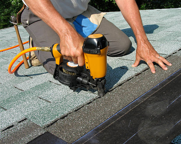 Best Roof Maintenance Services  in Zion, IL