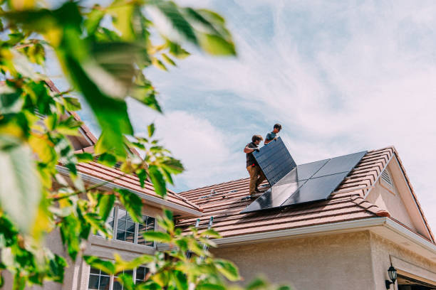 Best Roof Gutter Cleaning  in Zion, IL