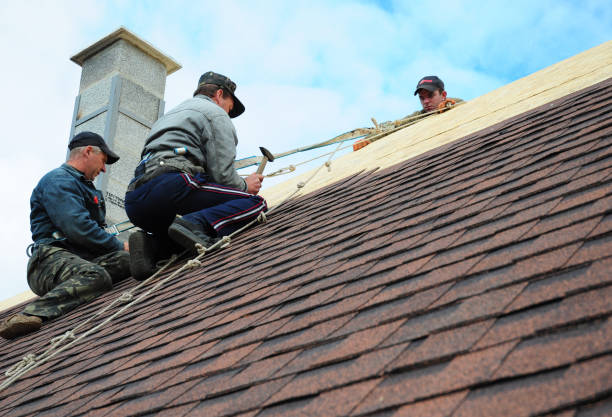 Best Best Roofing Contractors  in Zion, IL