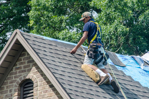 Best Roof Leak Repair  in Zion, IL